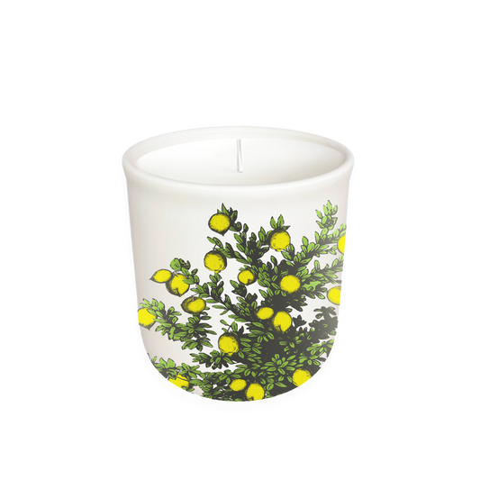 Lemon Tree - Terrace Collection Candle