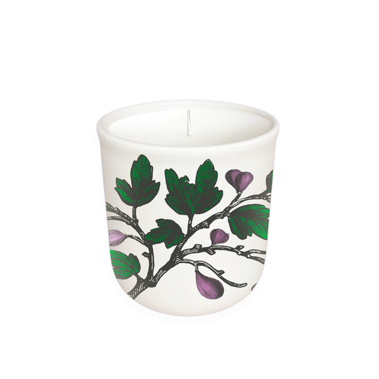 Fig Tree - Terrace Collection Candle