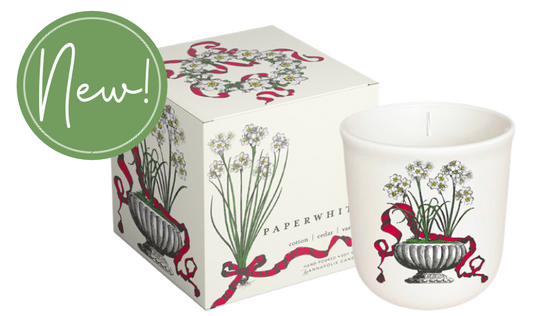 Terrace: Paperwhite Boxed Candle